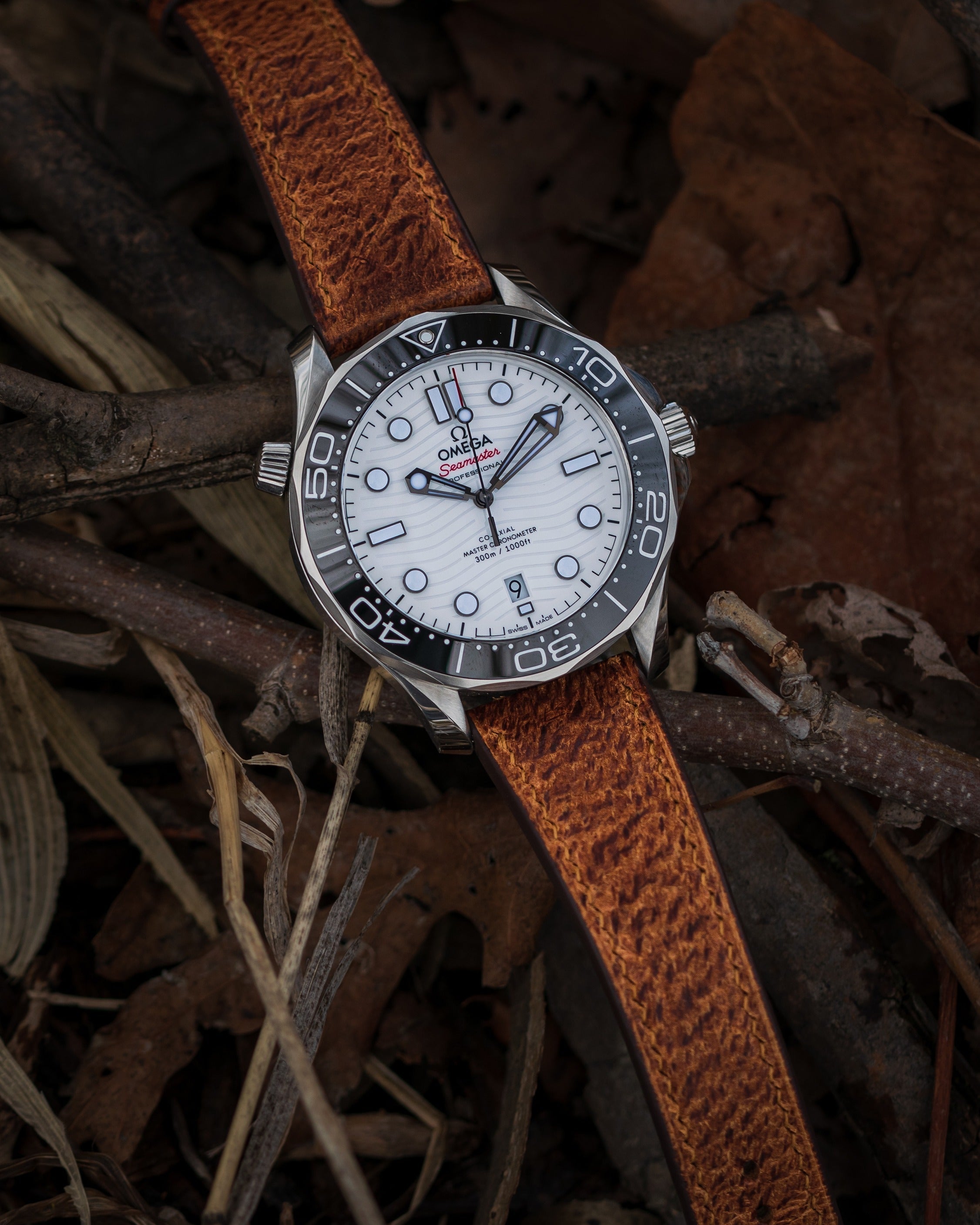"Lagoon" Watch Strap in Crazy Cow // Coach