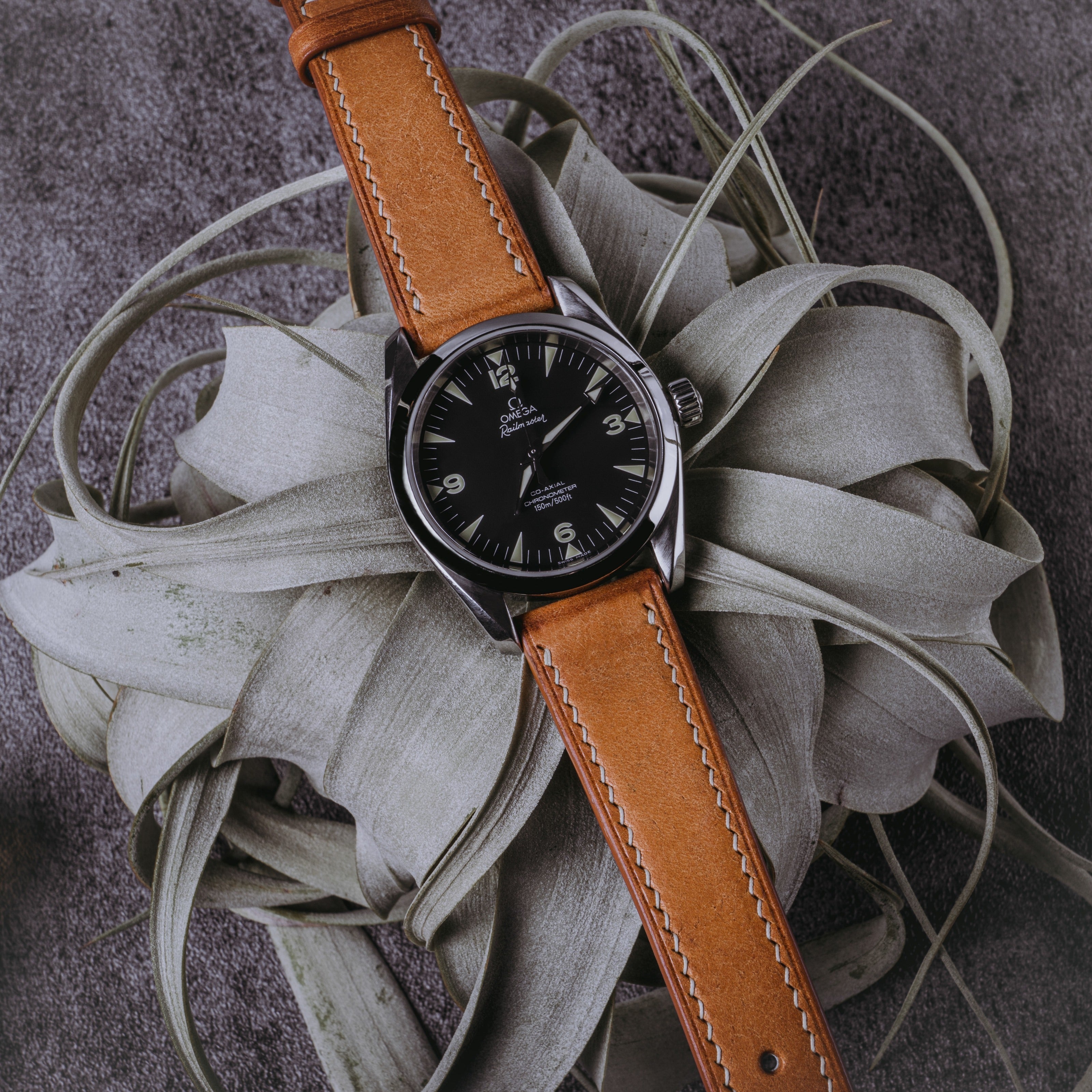 "Lagoon" Watch Strap in Pueblo // Olmo