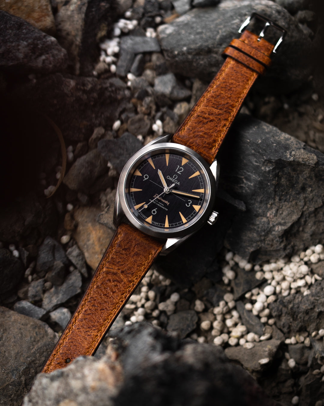 "Lagoon" Watch Strap in Crazy Cow // Coach